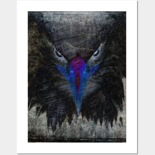 Eagle with Blue Beak Posters and Art